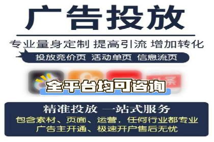 网络推广与竞价广告：双管齐下的策略案例